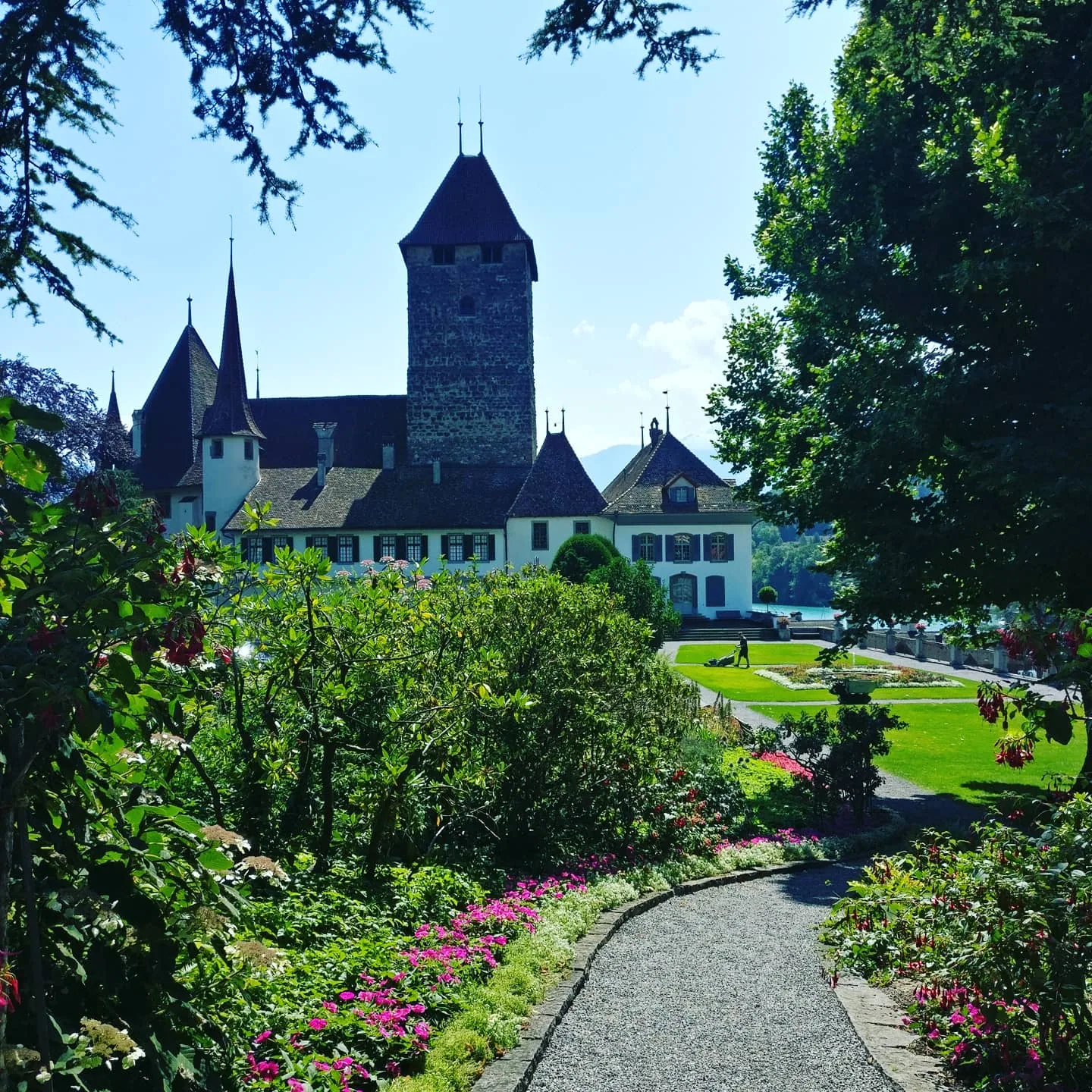 Schloss in Spiez im Berner Oberland