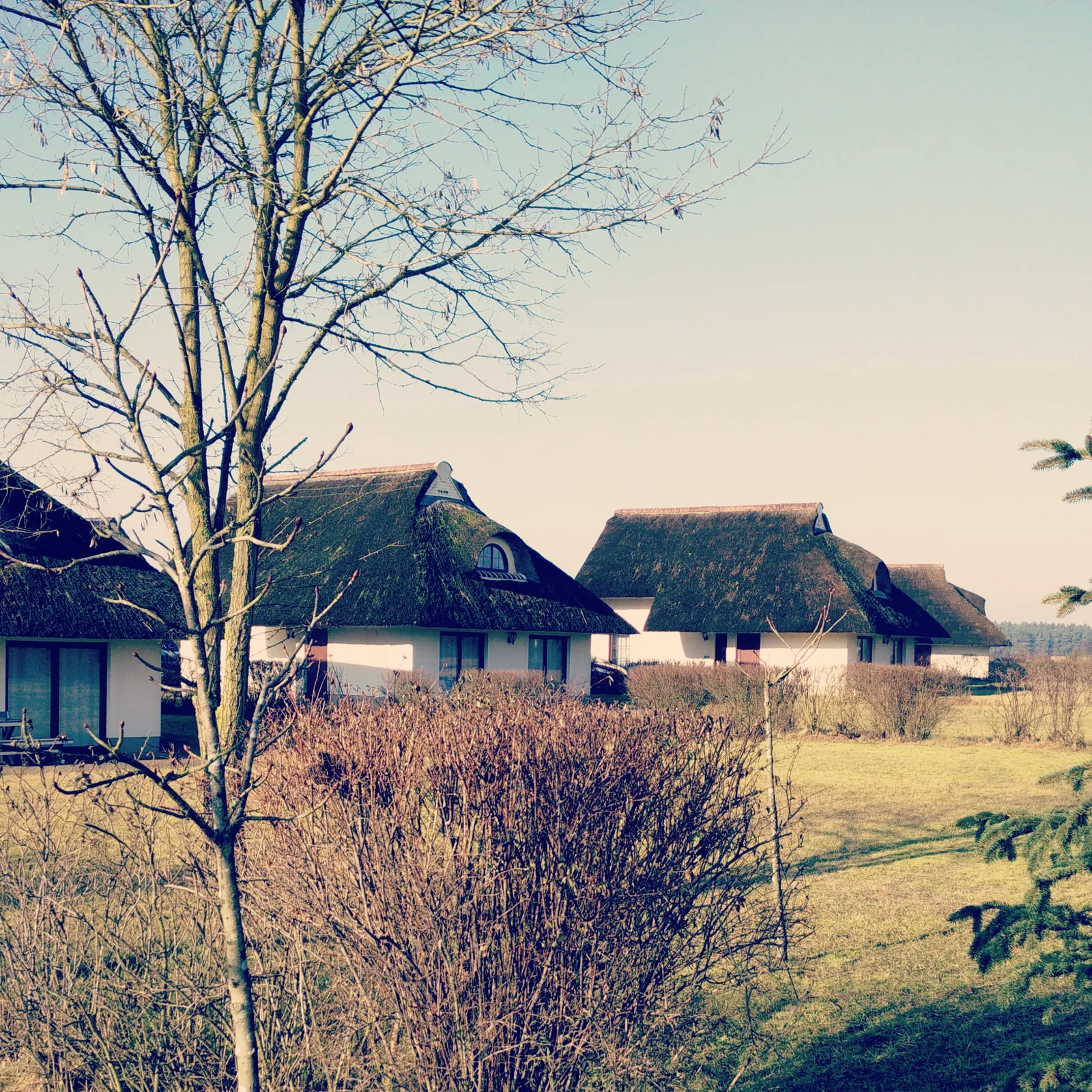 Blick auf die Ferienhaeuser im Van der Valk Resort Linstow
